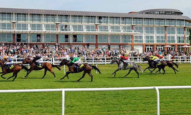 Golf breaks at Lingfield Park, A Marriott Hotel & Country Club, England. GRD Rating: 8.6