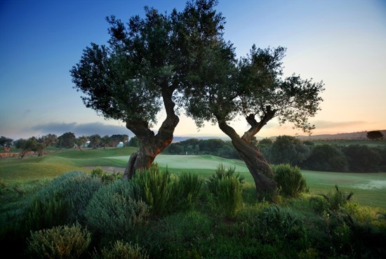 Golf breaks at The Romanos, Costa Navarino, Greece. GRD Rating: 8.6